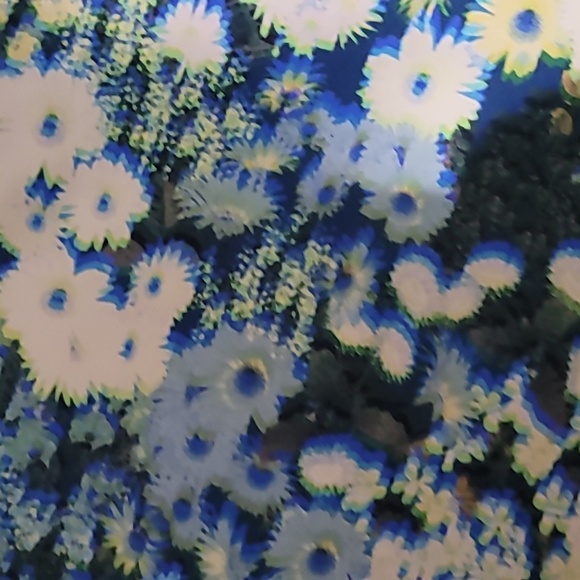 NWT Aerie 3D Offline Floral Sports Bra Size XL - Picture 3 of 5